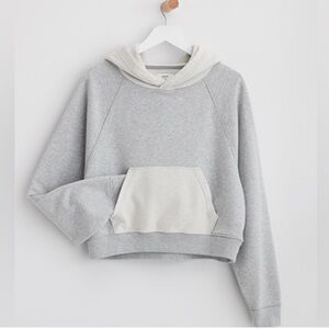 Aerie Light Gray Hooded Sweatshirt